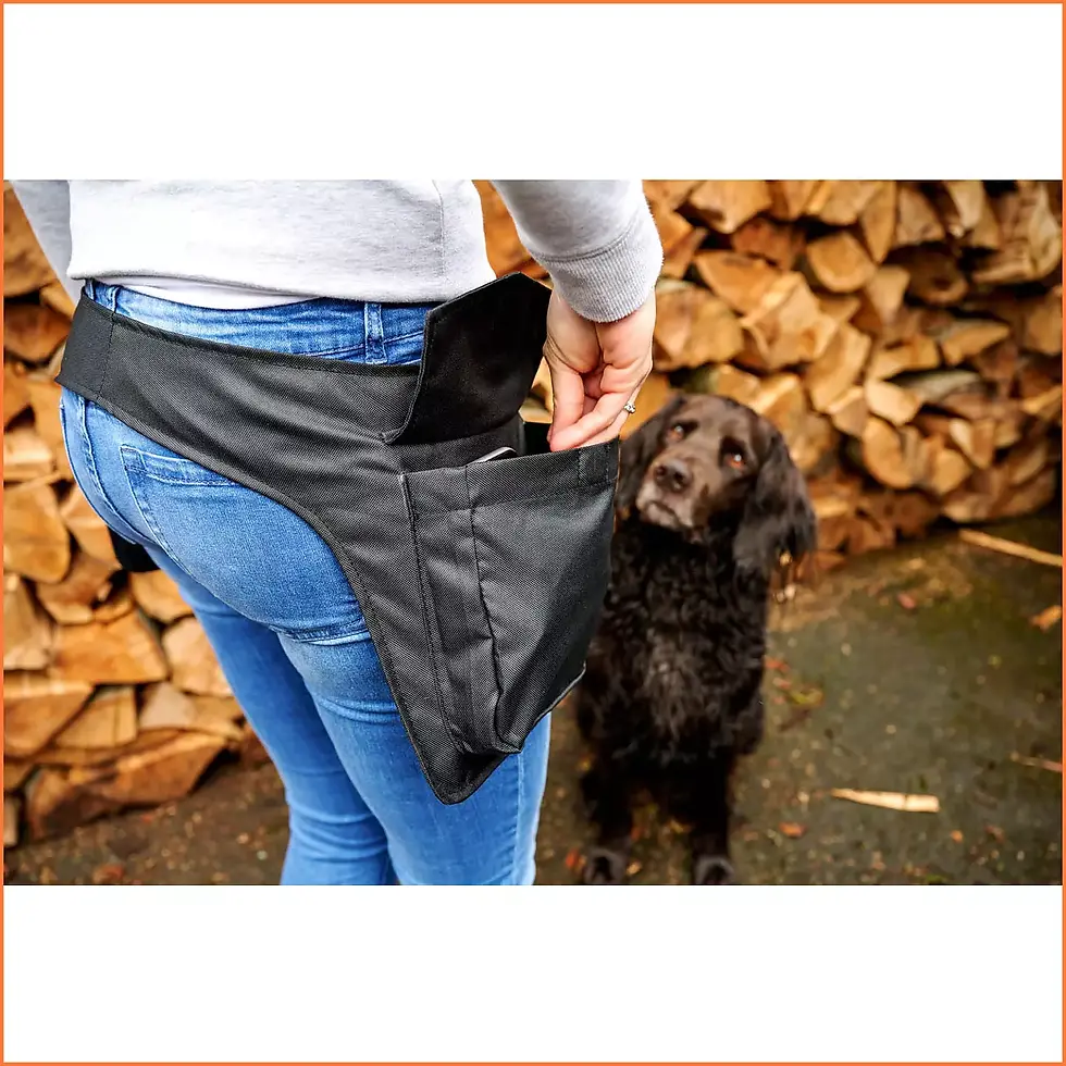 Miniatyrbild: Bandee extra pockets