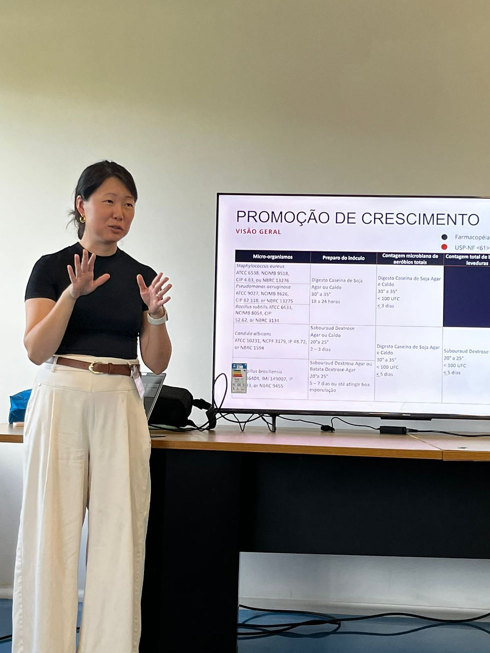 Treinamento in company