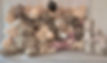 image6.jpeg