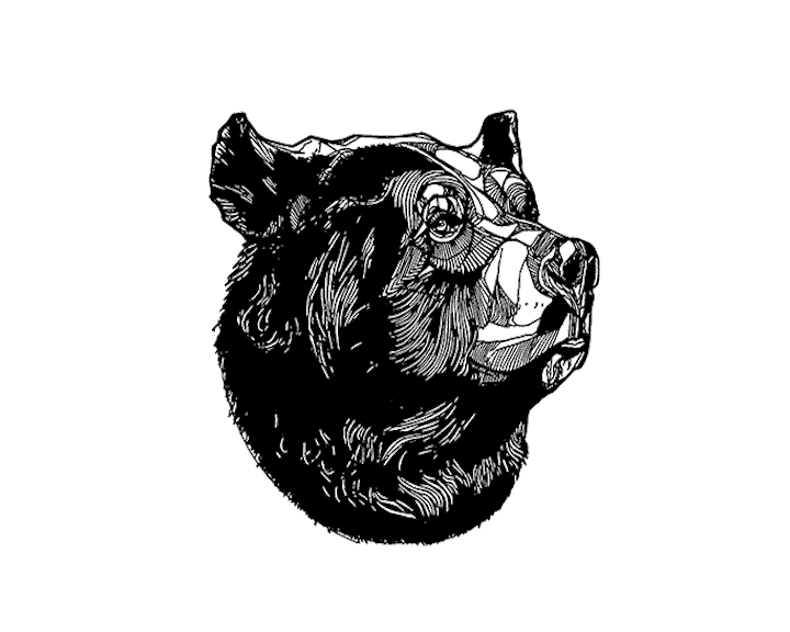 Bear.gif