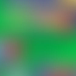 Cursos Português Língua de Acolhimento