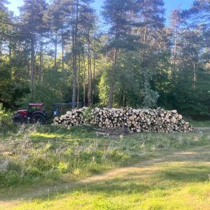 Forestry Work Showcase