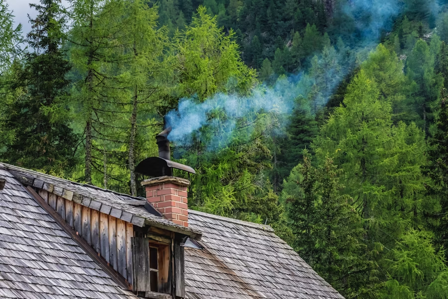 Photo of chimney against lush forest
