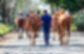 _L2_6438_edited_edited.jpg
