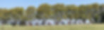 Jockey Academy Panoramic JPEG resize.jpg