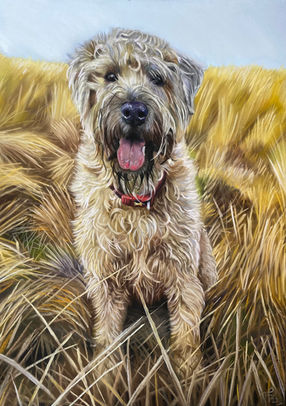 Pet portrait, A3 (2022)