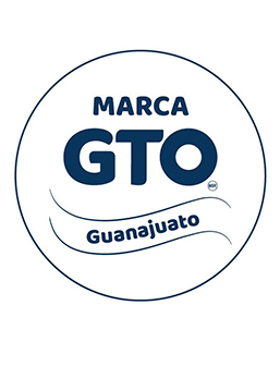 Amexing-Experience-Certificacion-marca-GTO.png
