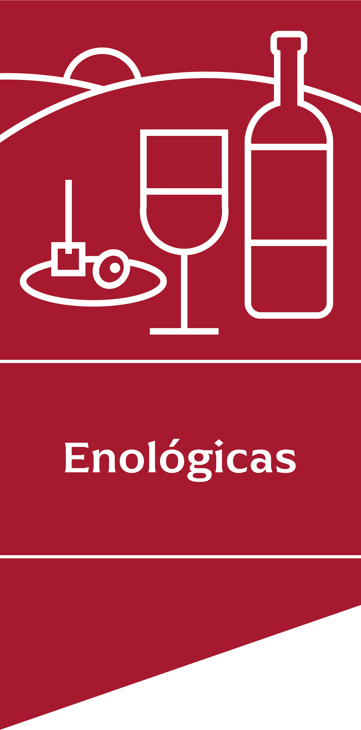 Amexing Experiencias_Iconos_VF_Icono-nombre experiencias enologica.png