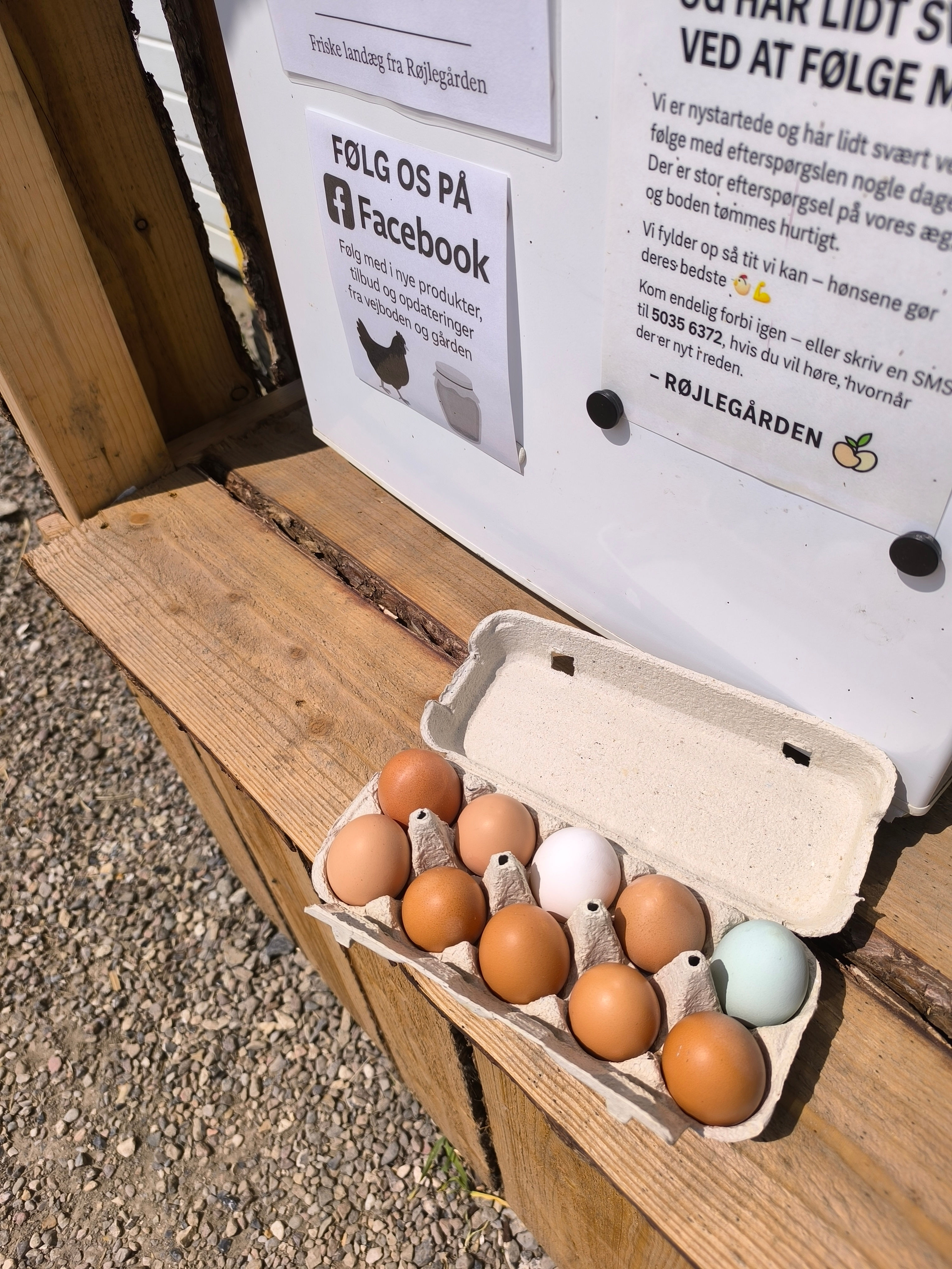 20 stk. friske landæg