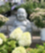 7450D009-6CF0-4FBB-B4D5-448CE515184C_edited.jpg
