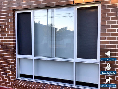 steel-window1.jpg