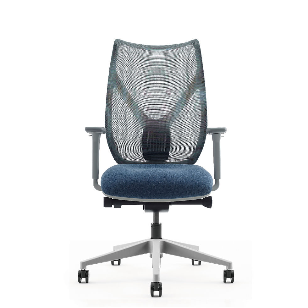 Thumbnail: Executive Ergonomic Office Chair