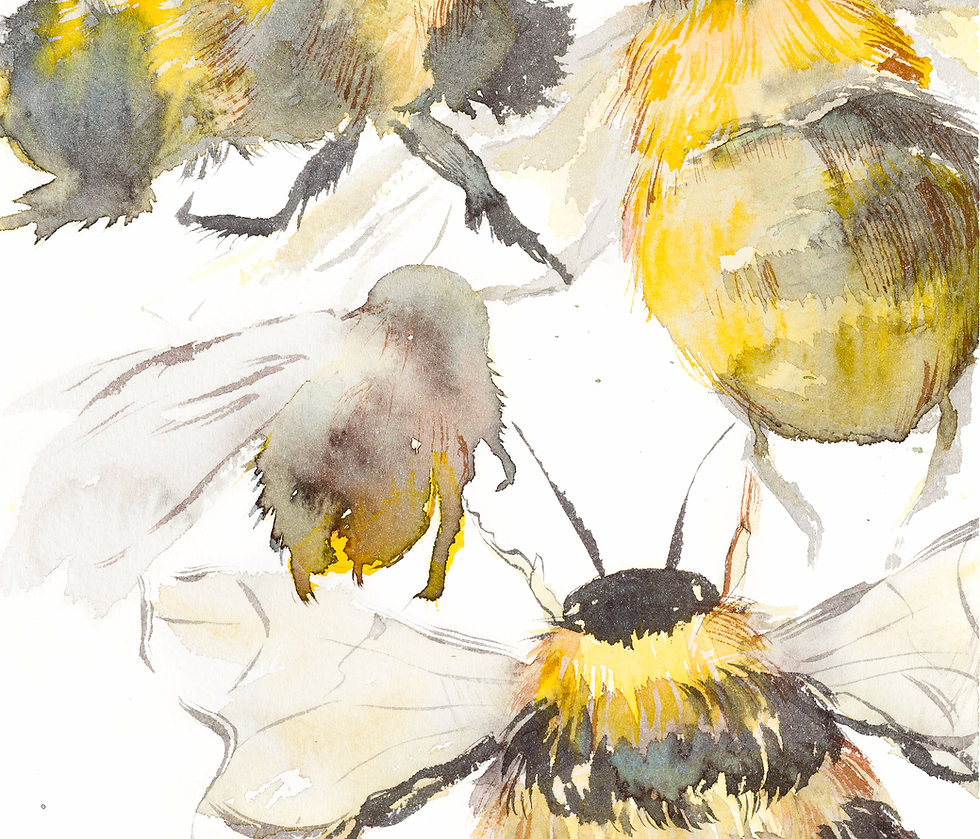 Thumbnail: The Pollinators