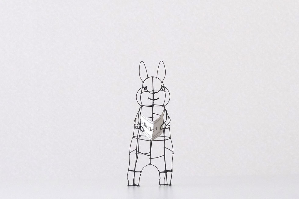 本を読むうさぎ