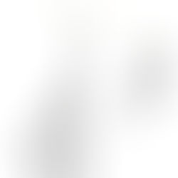 展示会のお知らせ in 東京