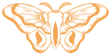 Gold Moth Logo