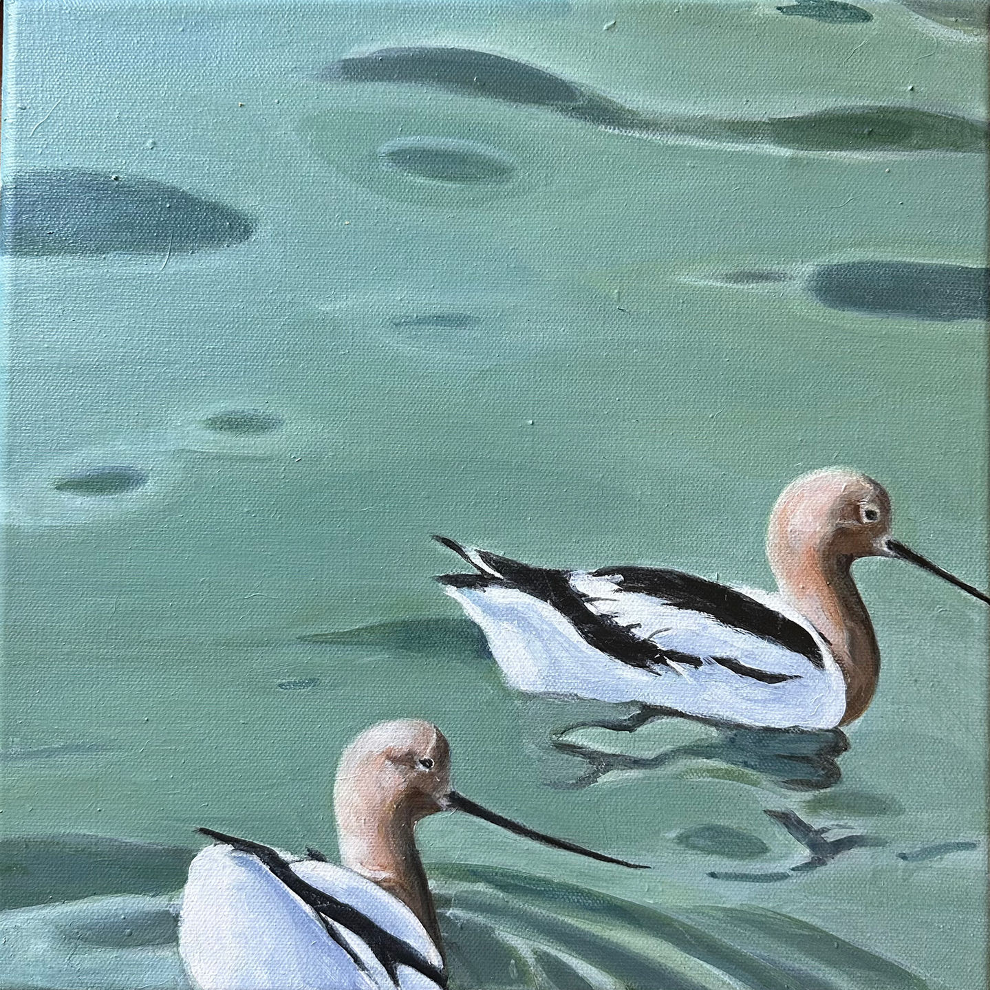 avocets copy.jpeg