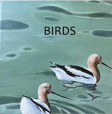 BIRDS, avocets.png