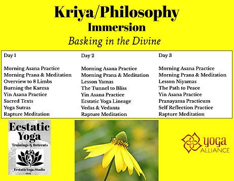 EY Philosophy_Kriya (3).jpeg