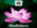 EY Mindfulness Yoga (6).jpeg