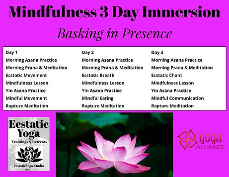 EY Mindfulness 3 Day Retreat (13).jpeg
