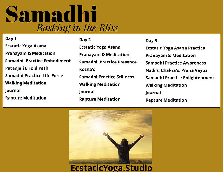 Samadhi Immersion Schedule (3).jpeg