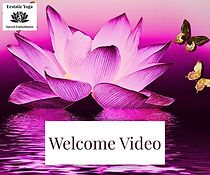 Copy of Stillness (5).jpg