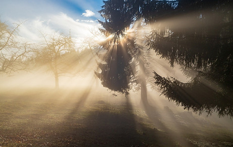 Blog Awareness will Cast Out All Shadows (2).jpeg