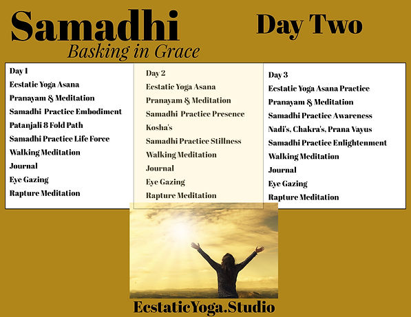 Samadhi Immersion Schedule (7).jpeg