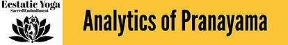 EY Analytics Pranayama (1).jpeg