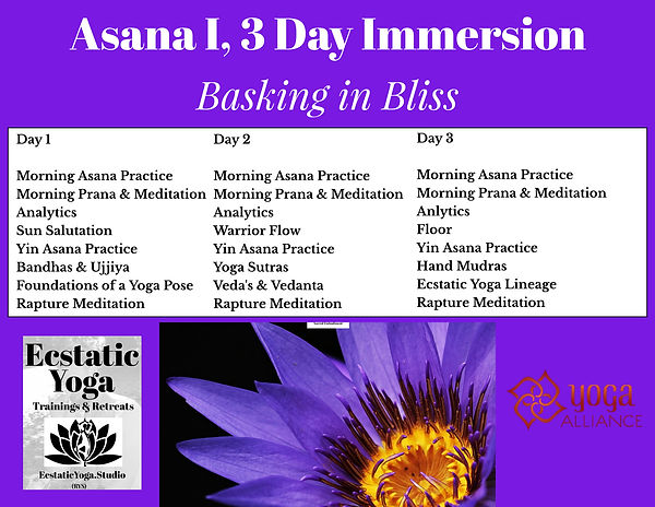 EY Asana 1 3 Day Retreat (19).jpeg
