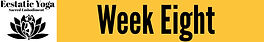 EY Week Eight.jpeg