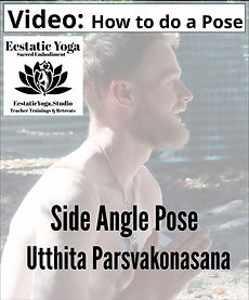 Ecstatic Yoga Videos Side Angle_Utthita Parsvakonasana.jpeg