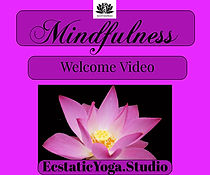 Mindfulness Welcome Video.jpeg