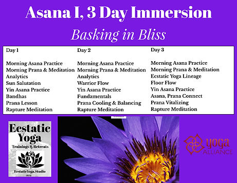 EY Asana 1 3 Day Retreat (20).jpeg