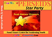 PERSEIDS page (2).jpeg