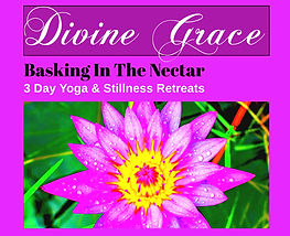 Divine Grace Yoga & Stillness Retreats.j
