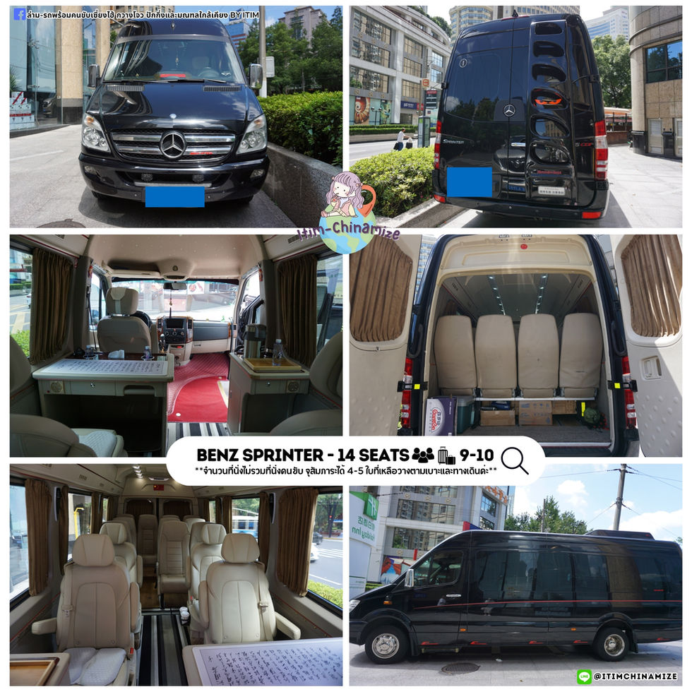 Benz VIP 14 seats