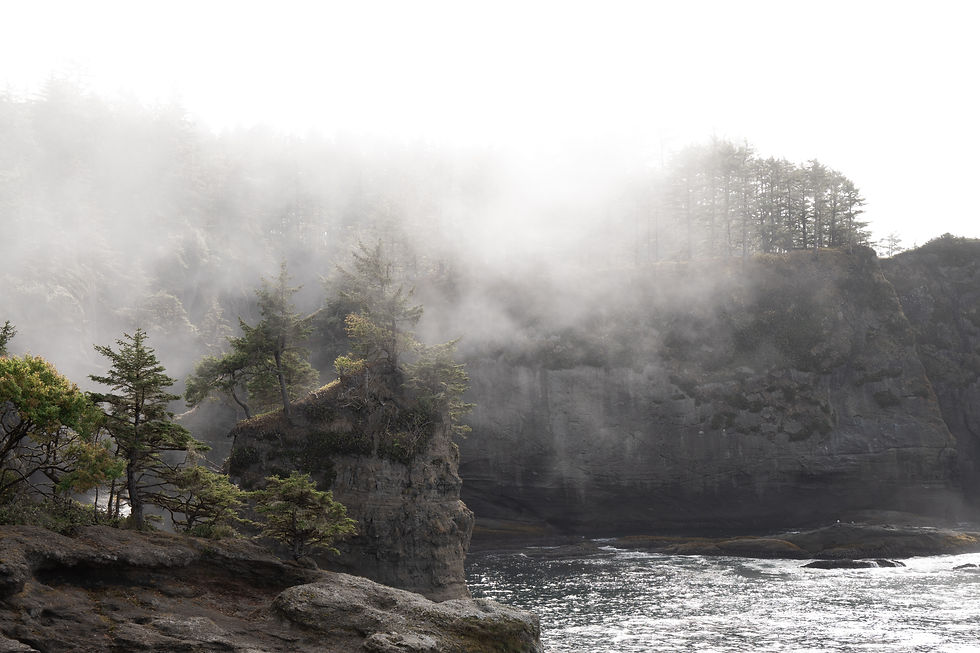 Cape Flattery, l'ocean contre les rochers et arbres sauvages dans un atmosphère brumeux