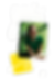 Group 2519.png