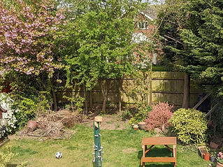 beautifully pruned large garden sunny day