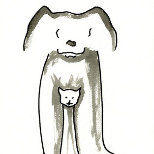 Dog Hiding Cat