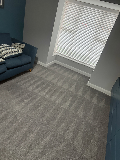 freshly cleaned carpet