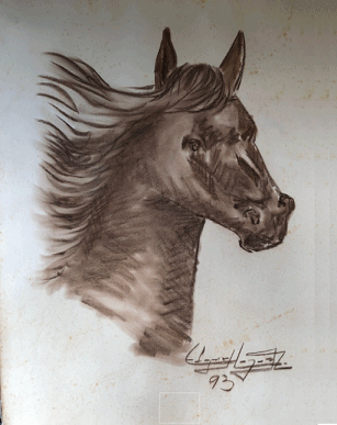 Caballo cabeza gif.gif