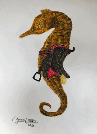Caballito de mar gif.gif