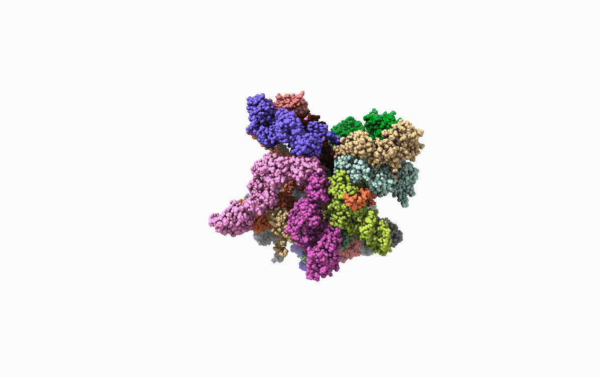 19S proteasome 8CVT_1.gif