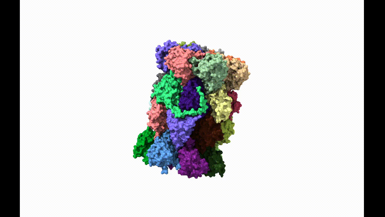 20S proteasome crystal structure