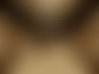 Libraries, Home Offices and Studies