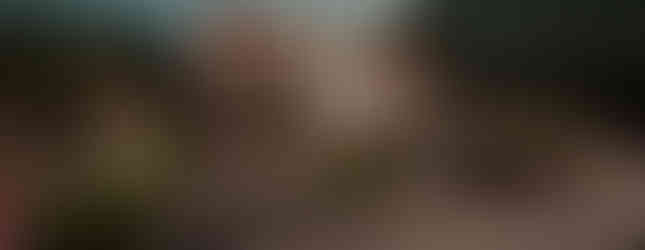 best architects in melbourne