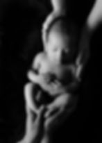 baboo_newborn